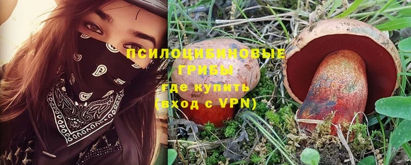 мяу мяу кристалл Ельня