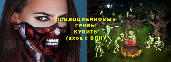 mdpv Елабуга